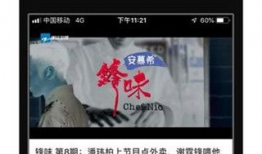 蓝莓视频官网,解锁精彩内容，畅享视觉盛宴